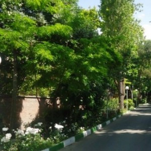 محله مهران