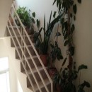 تماس بگیرید با ملکانا