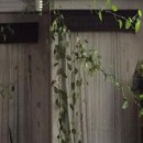 تماس بگیرید با ملکانا