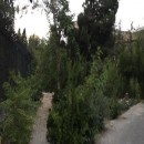 تماس بگیرید با ملکانا