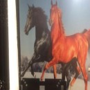 تماس بگیرید با ملکانا