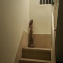 تماس بگیرید با ملکانا