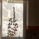 تماس بگیرید با ملکانا