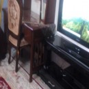 تماس بگیرید با ملکانا