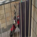 تماس بگیرید با ملکانا