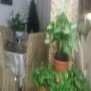 تماس بگیرید با ملکانا