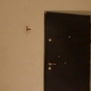 بازدید مجازی