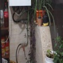 تماس بگیرید با ملکانا