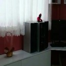 تماس بگیرید با ملکانا