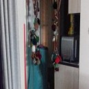 تماس بگیرید با ملکانا