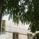 تماس بگیرید با ملکانا