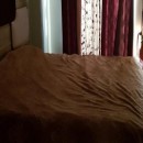 تماس بگیرید با ملکانا