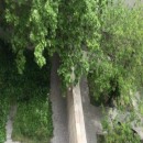 تماس بگیرید با ملکانا