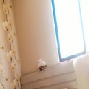 تماس بگیرید با ملکانا