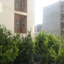 تماس بگیرید با ملکانا