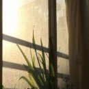 تماس بگیرید با ملکانا